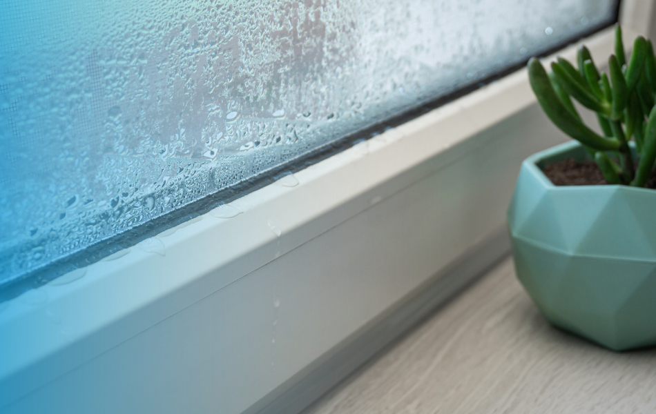 m3%2Ddamp%2Dand%2Dmould%2D22